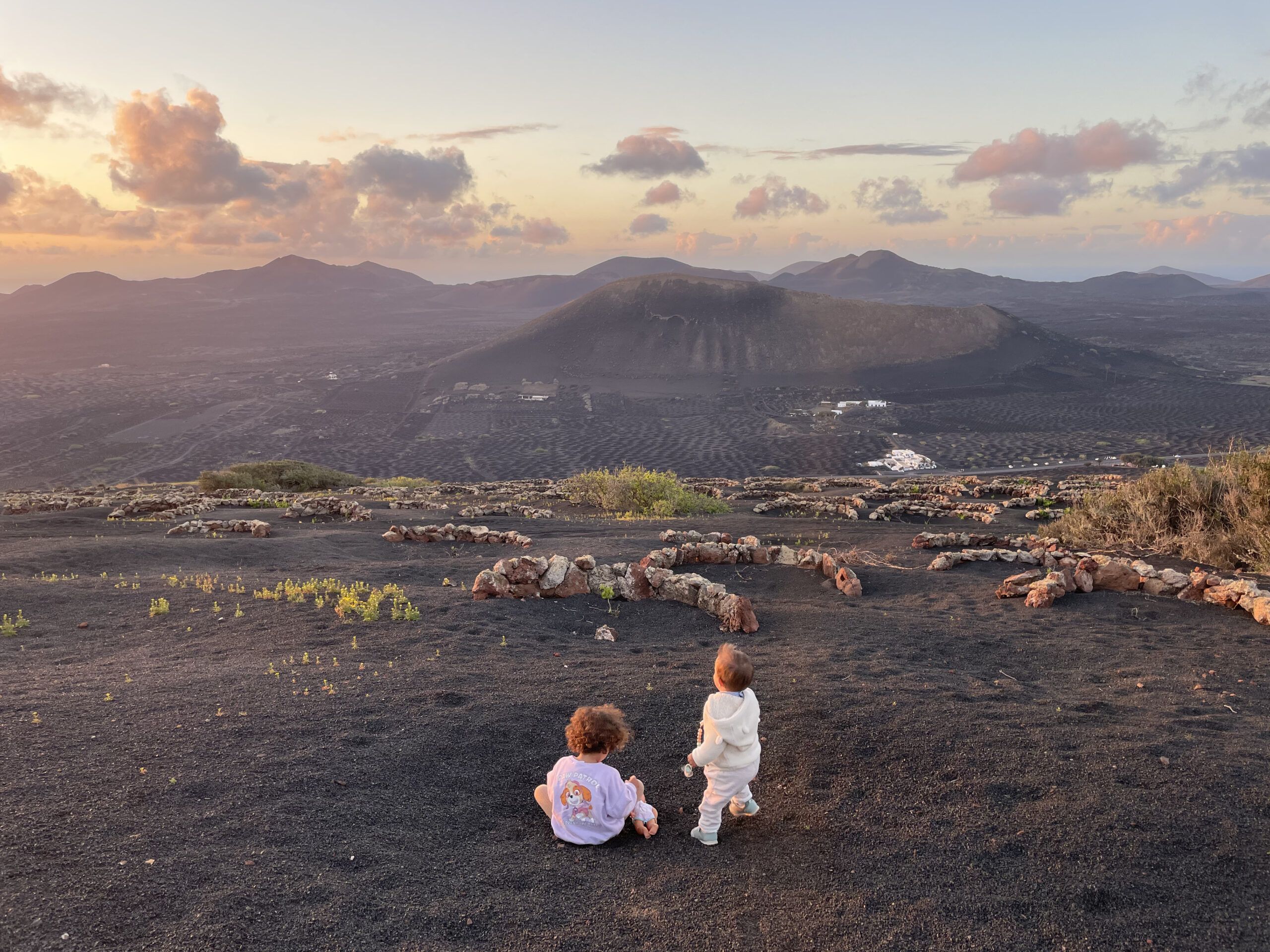 volcanes y vinos