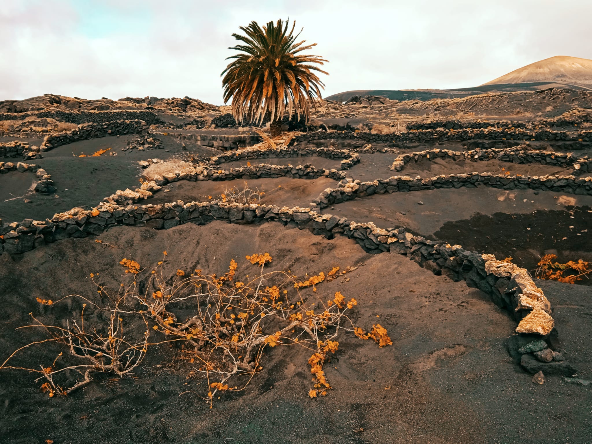 vulcano